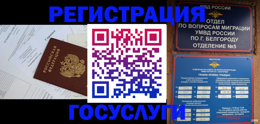 временная прописка в Дорогобуже